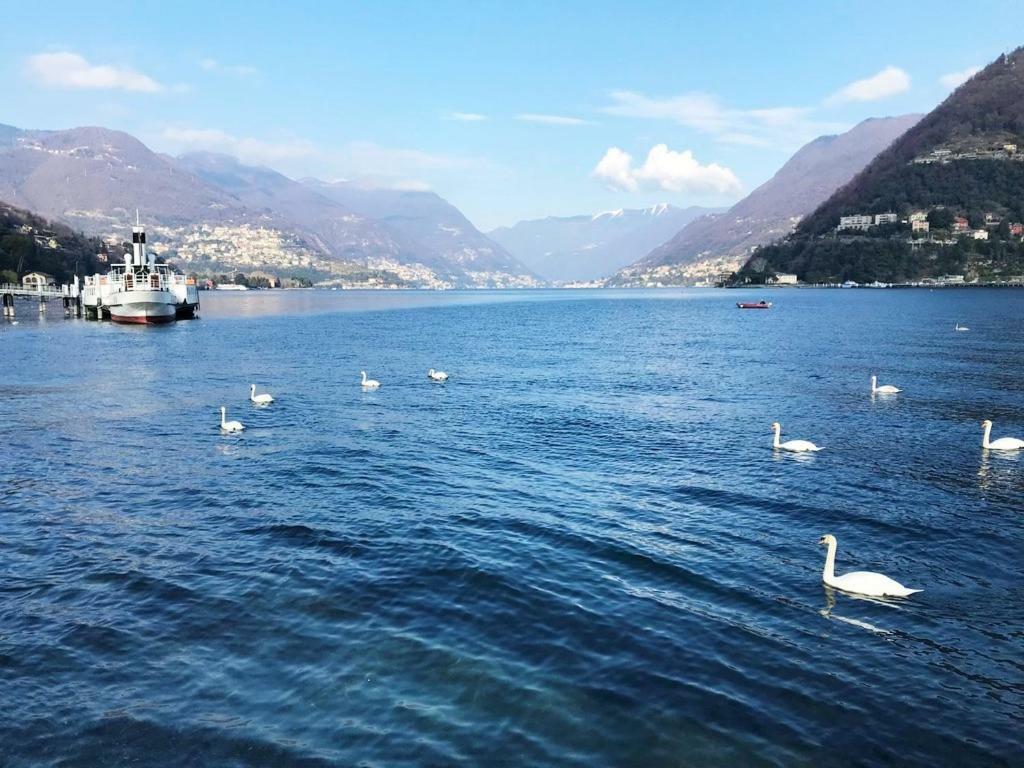 Gg Mentana Rooms Como Exteriér fotografie